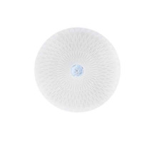 Світлодіодний світильник потолочий RADIUS-36
